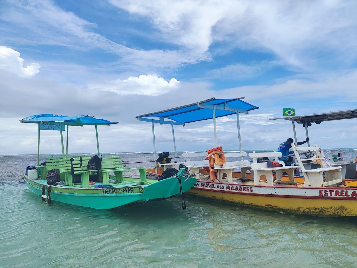 barcos.jpg