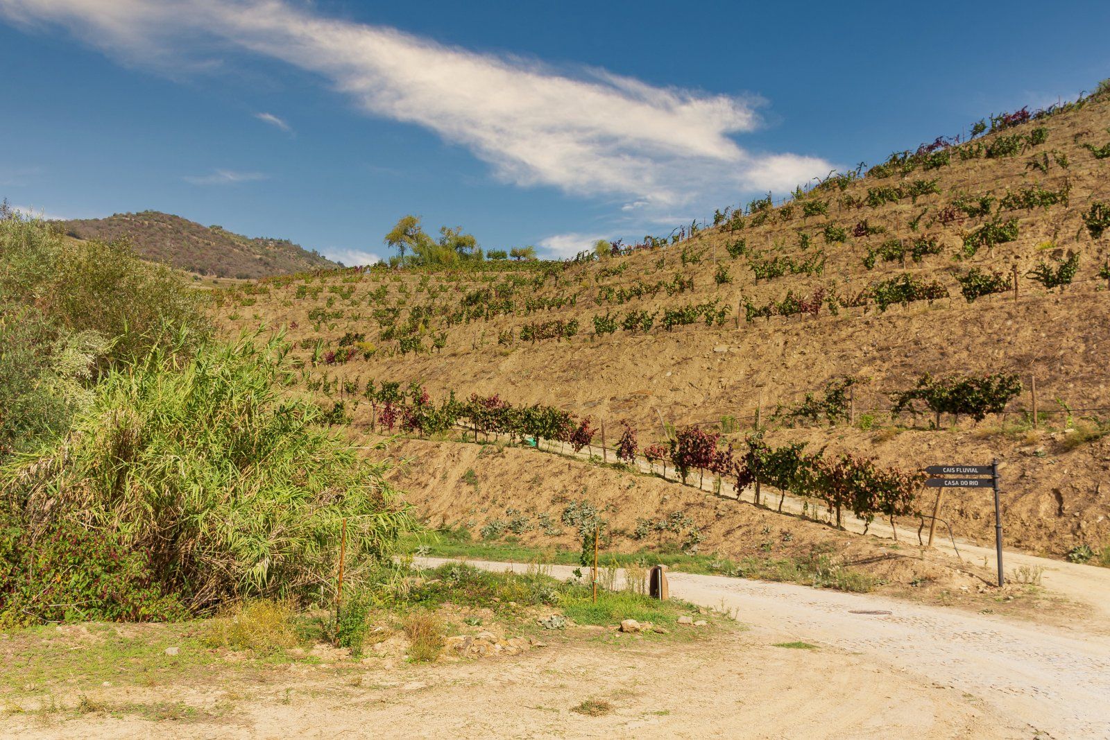 Douro_Outubro_2022 (108).jpg