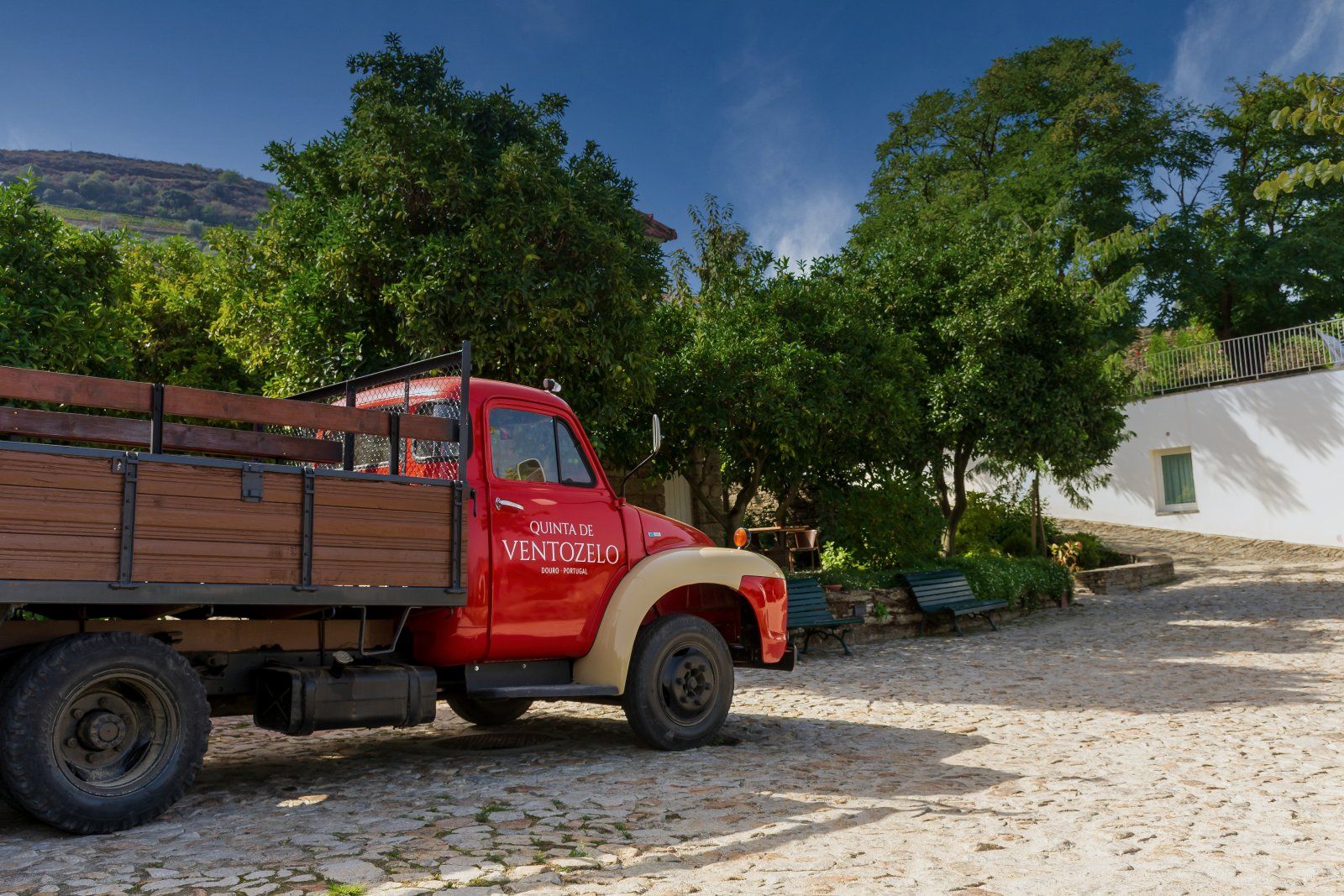 Douro_Outubro_2022 (120).jpg
