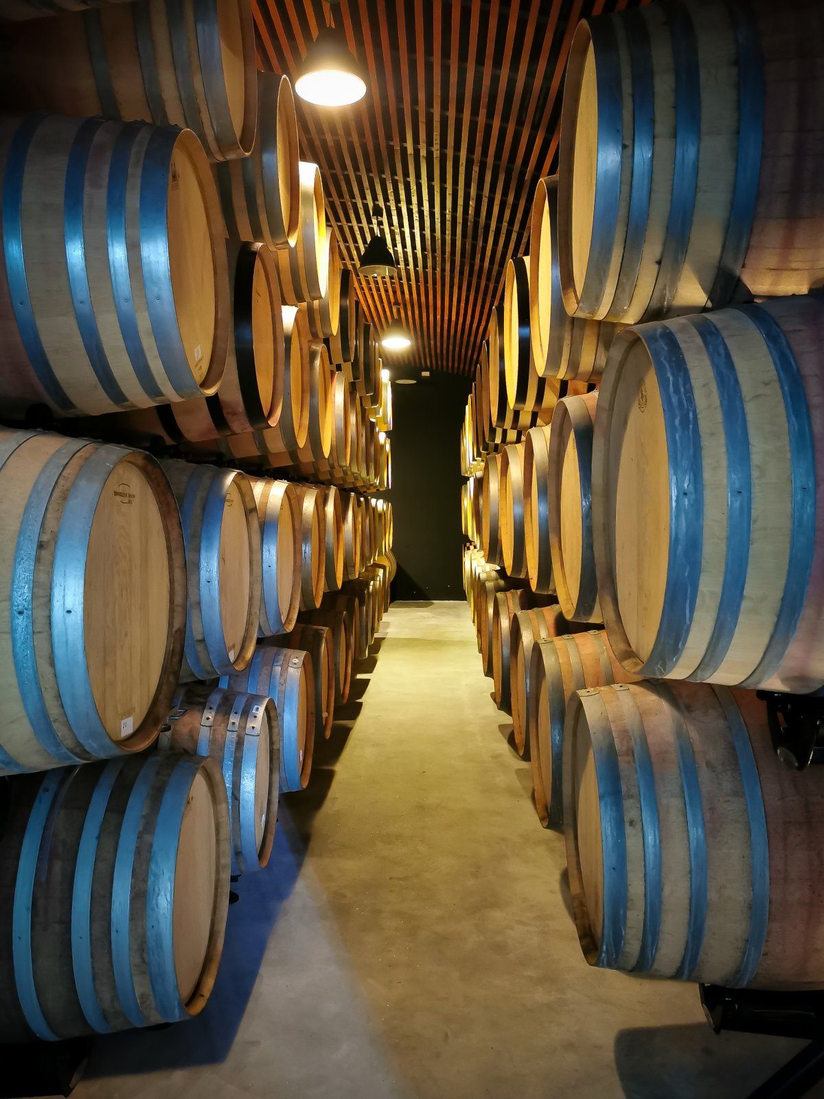 Douro_Outubro_2022 (139).jpg
