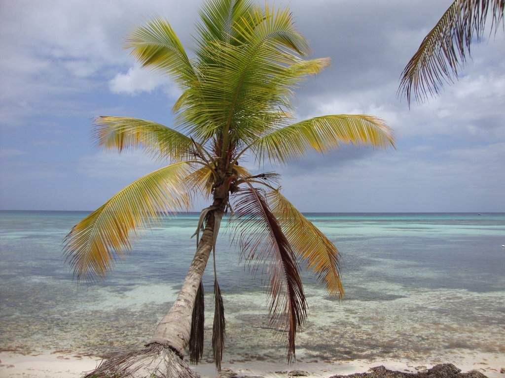 DSC00331.JPG