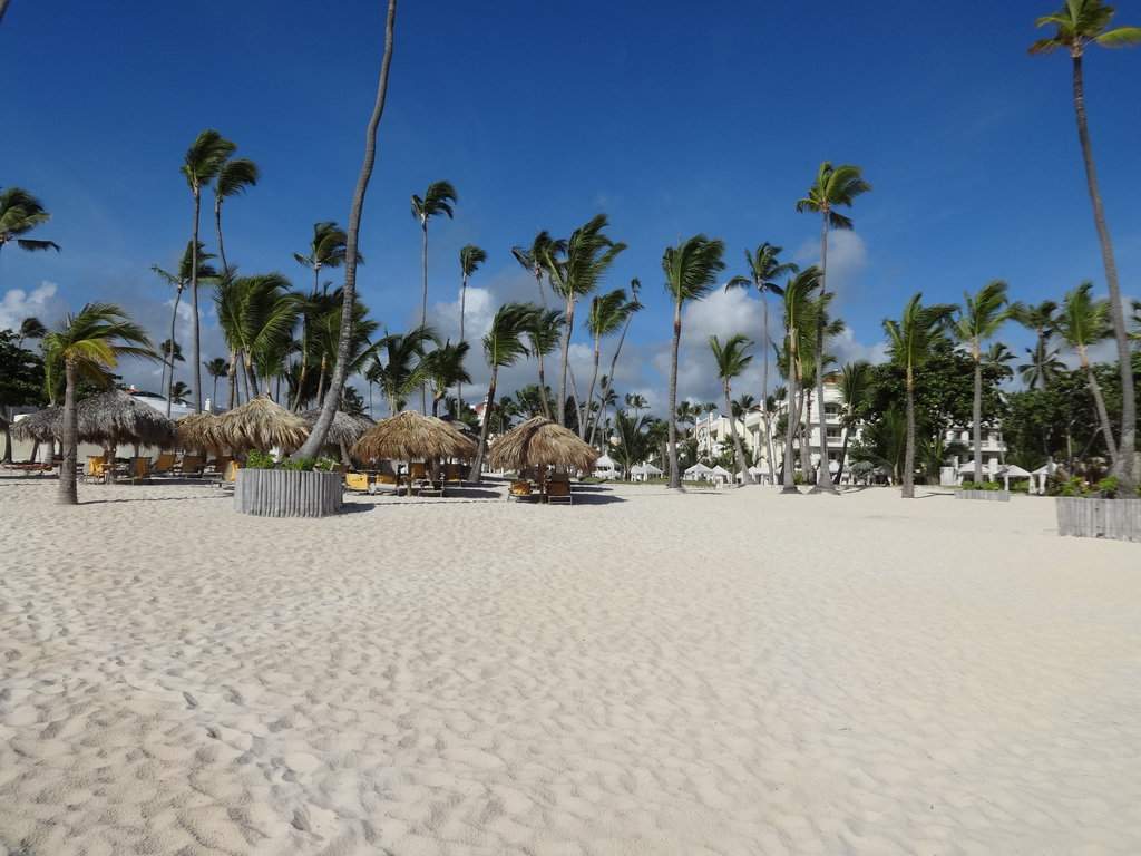 DSC00381.JPG
