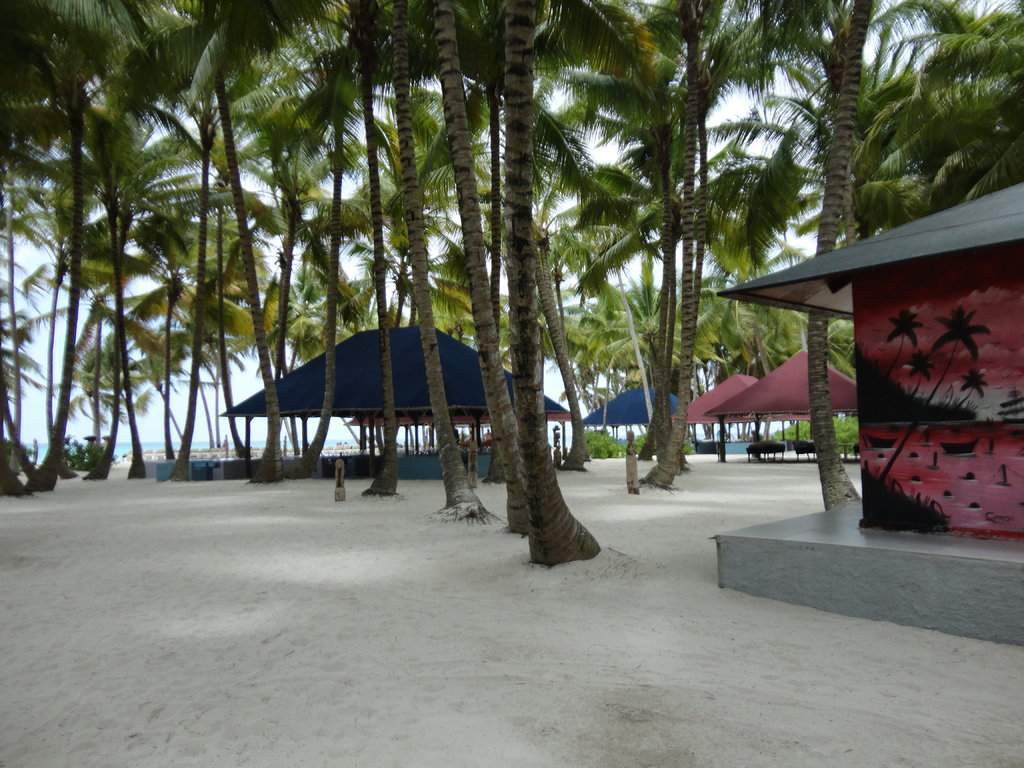DSC00481.JPG