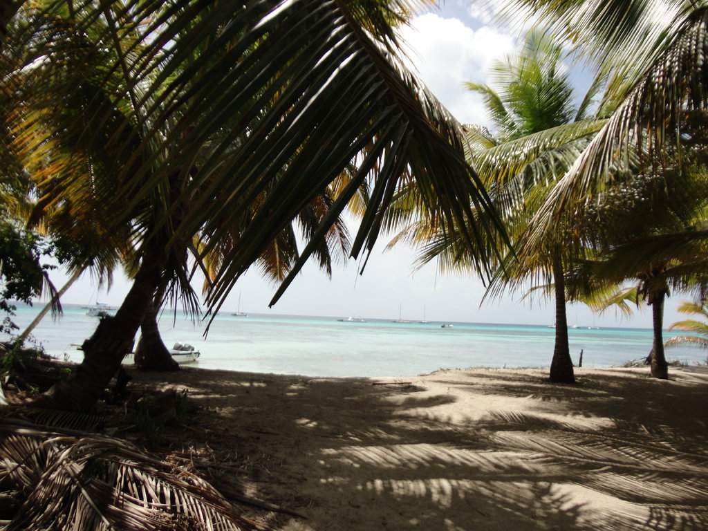 DSC00495.JPG