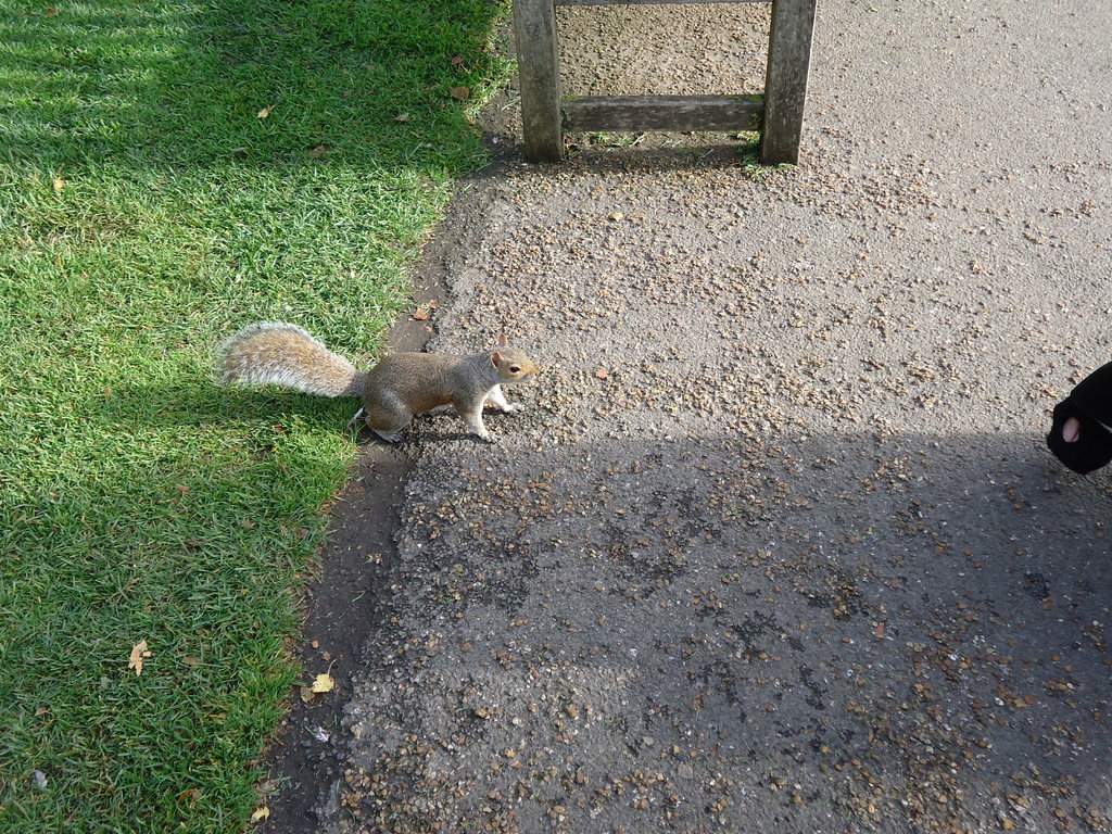 DSC00668.JPG