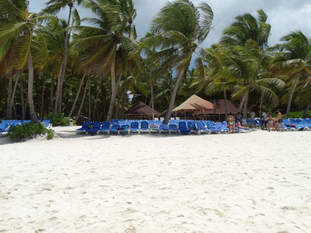 DSC00688a.jpg
