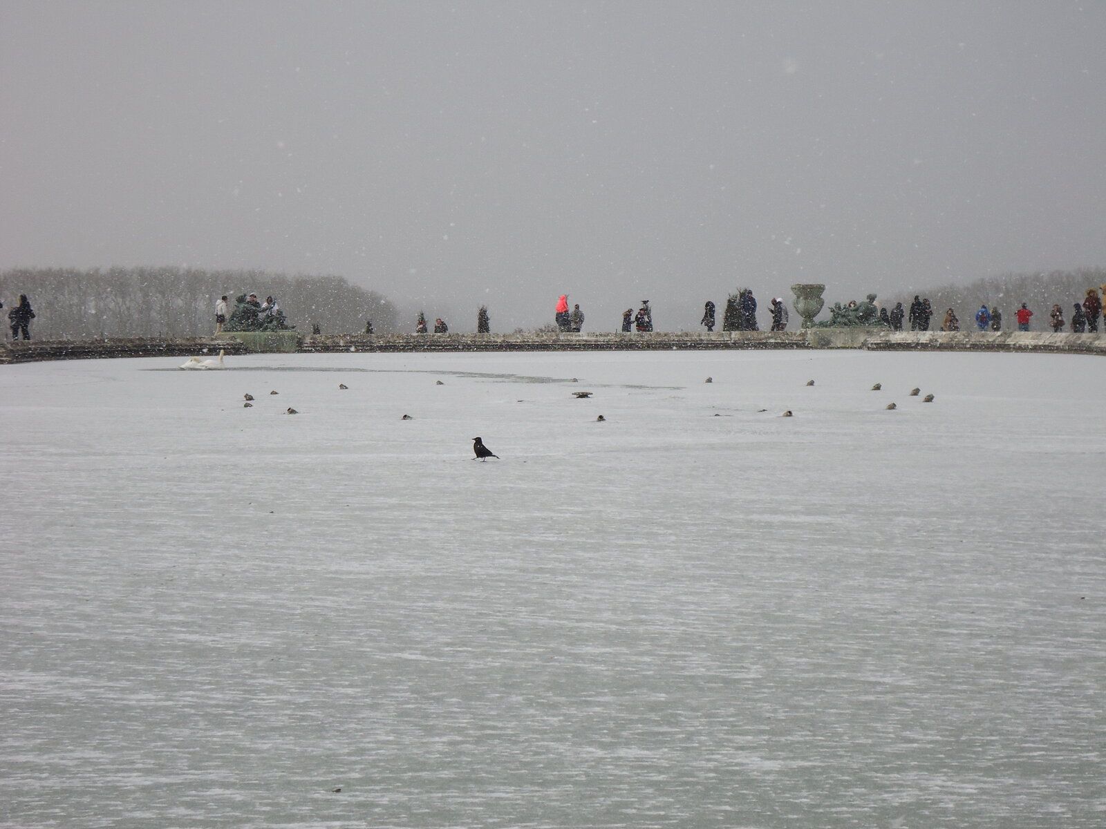 DSC00916.JPG