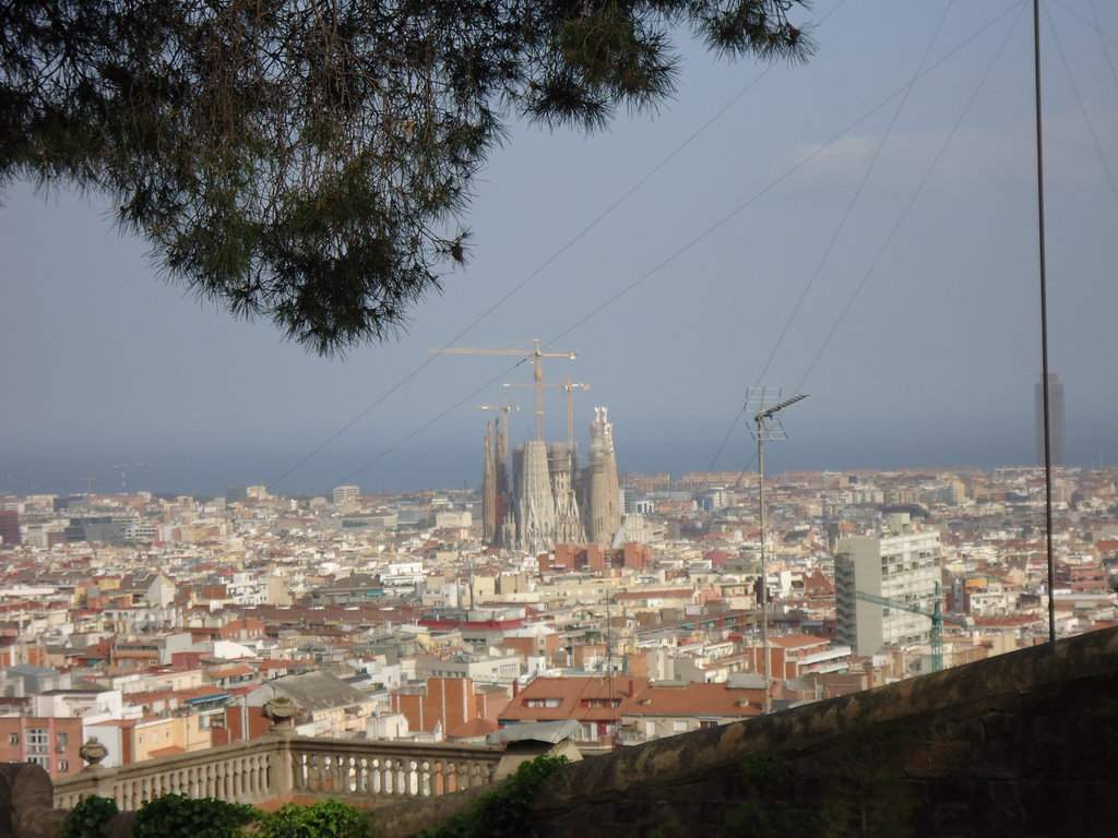 DSC00985.JPG