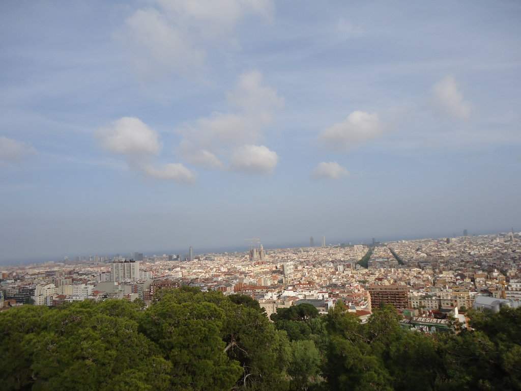 DSC00989.JPG