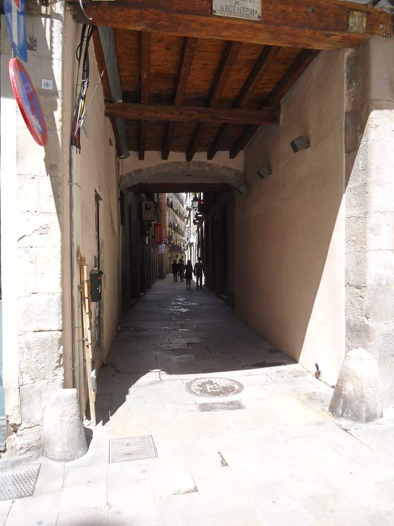 DSC01005.JPG