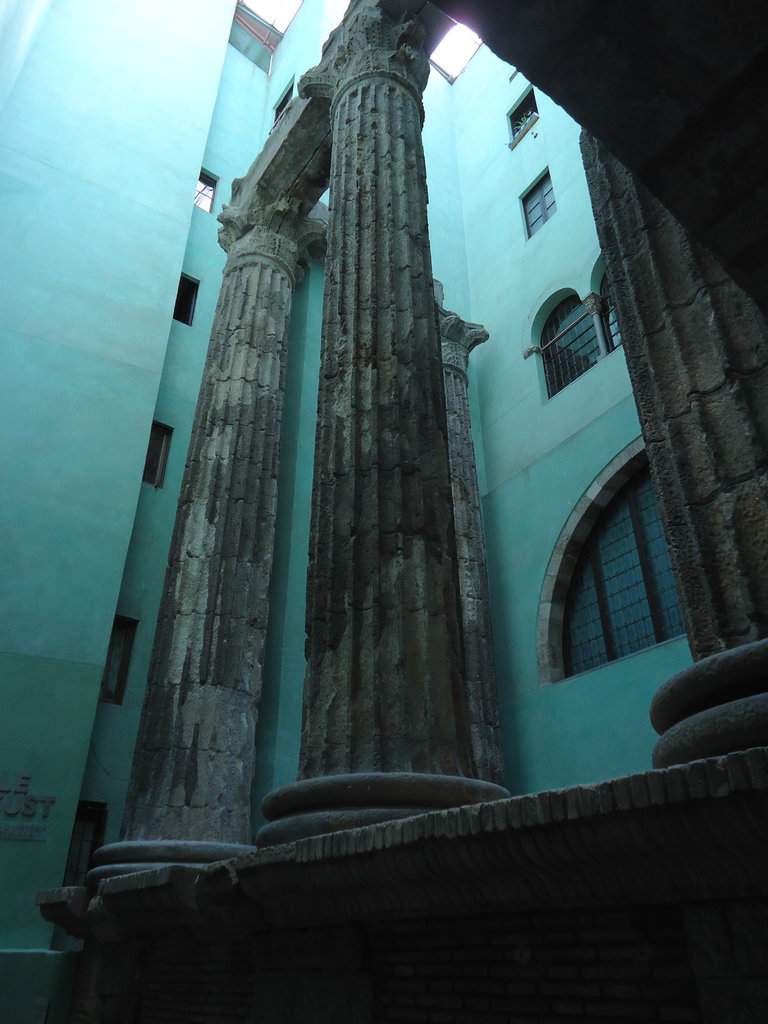 DSC01015.JPG