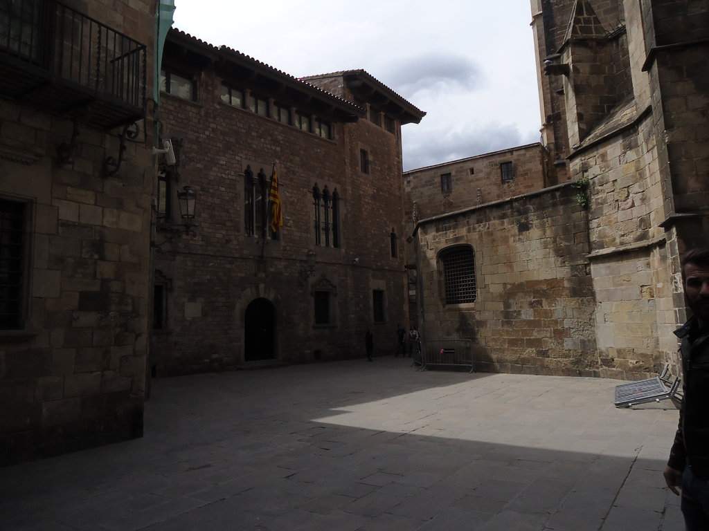 DSC01017.JPG