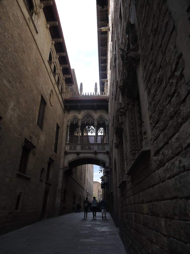 DSC01064.JPG