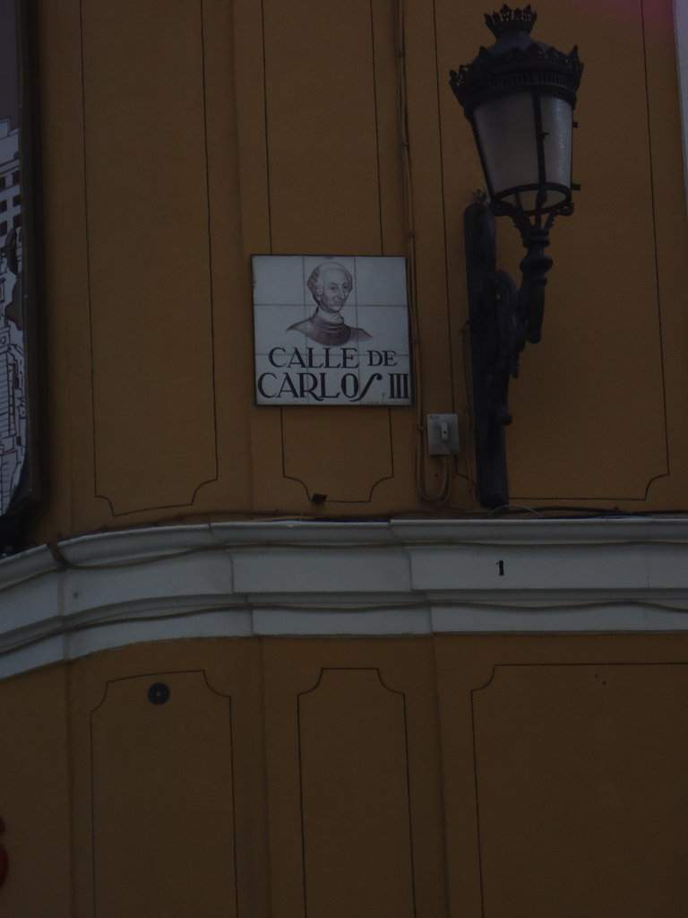 DSC01206.JPG