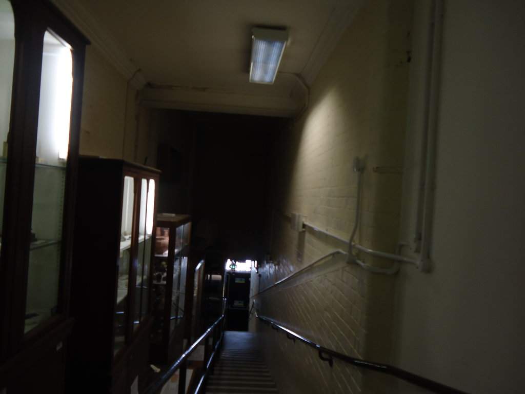 DSC01275.JPG