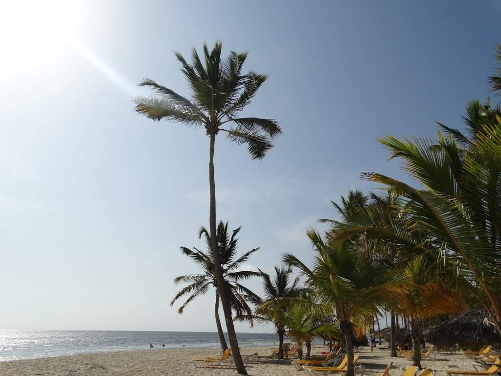 DSC01301.JPG