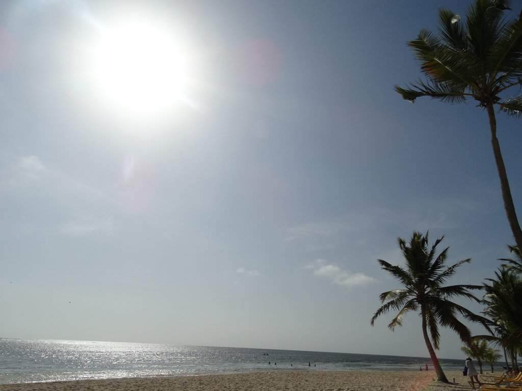 DSC01308a.jpg