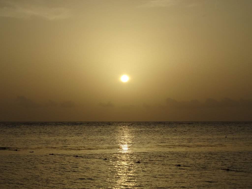 DSC01508a.jpg