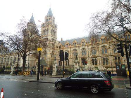 DSC01551_1.jpg