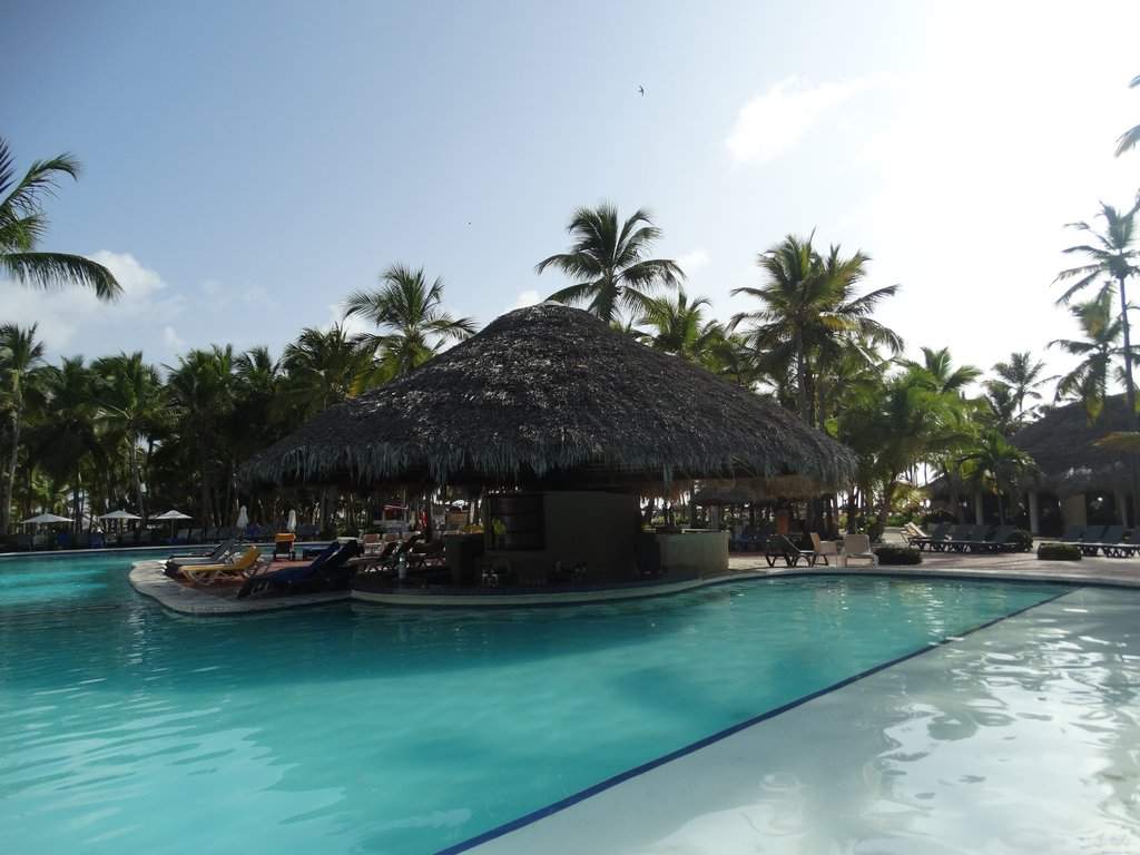 DSC01581a.jpg