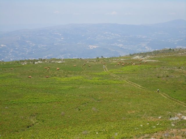 dsc04310.jpg