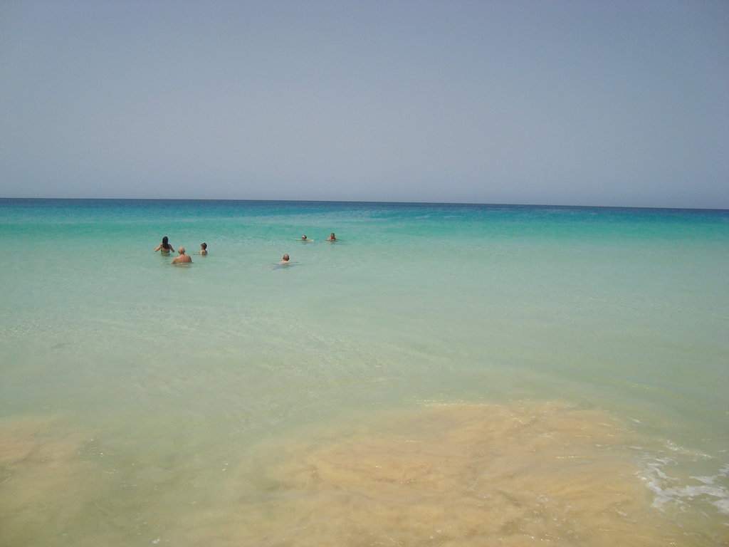 DSC04420.JPG