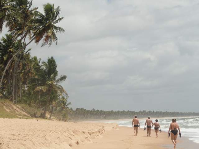 DSC05331.JPG