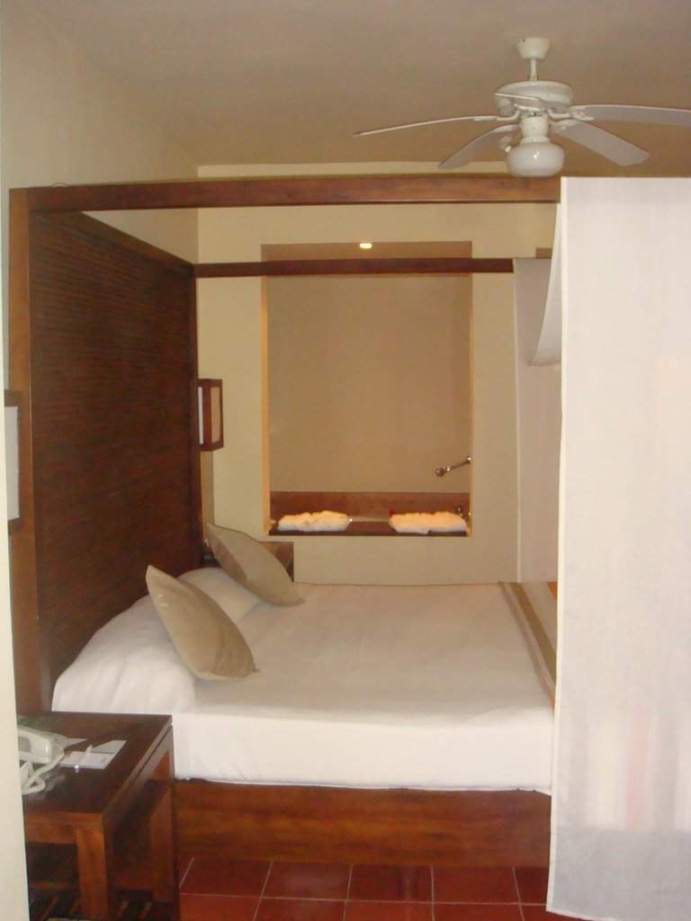 DSC06487.jpg