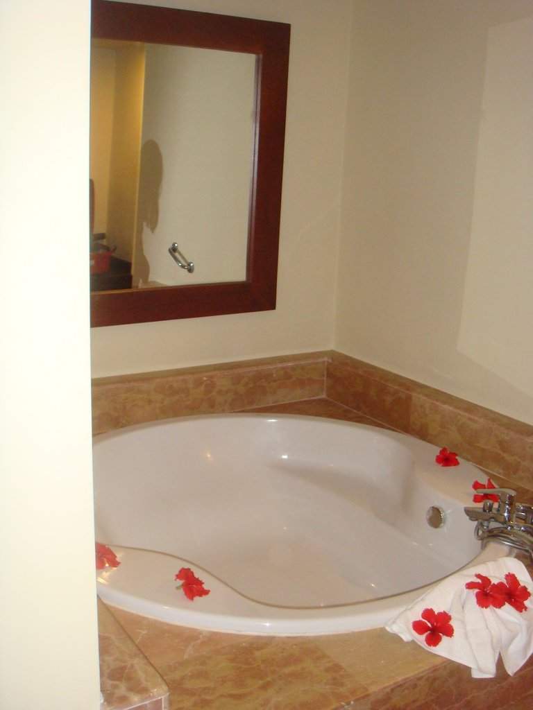 DSC06488 - Copy.jpg