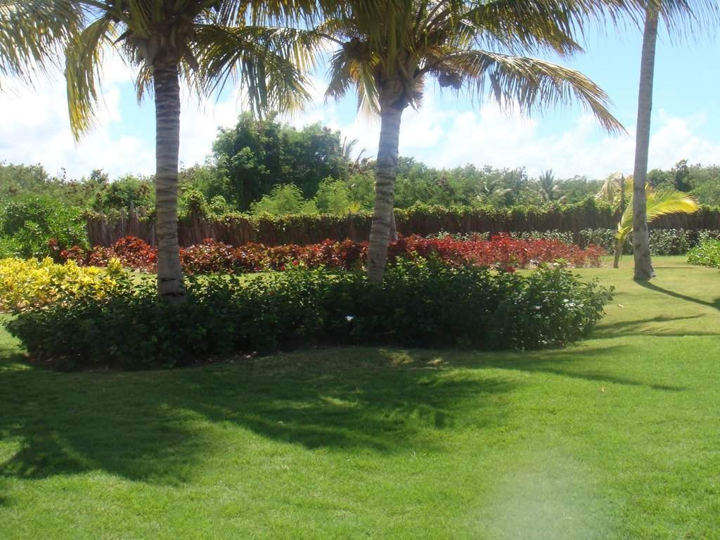 DSC07289.jpg