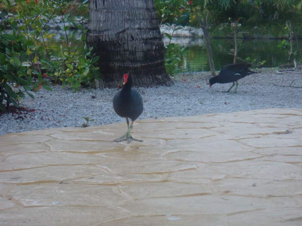 DSC07337.jpg