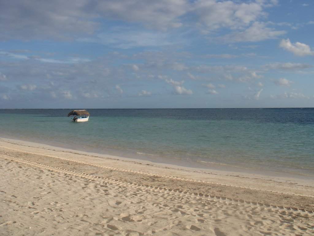 DSC07528.jpg
