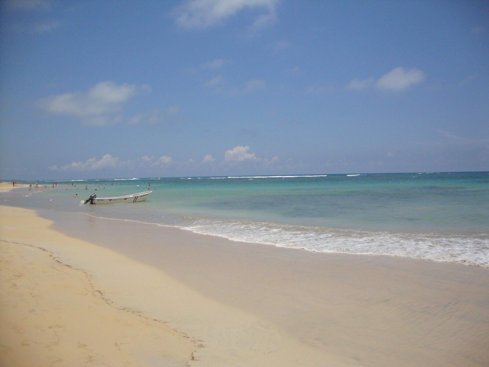 DSC09277.JPG