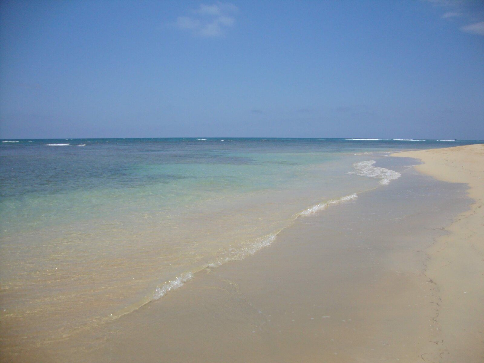 DSC09297.JPG