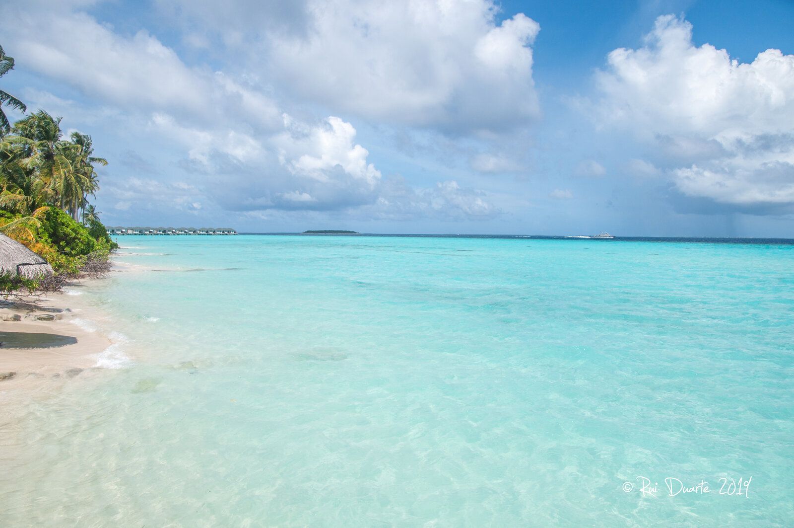 DSC_0073.jpg