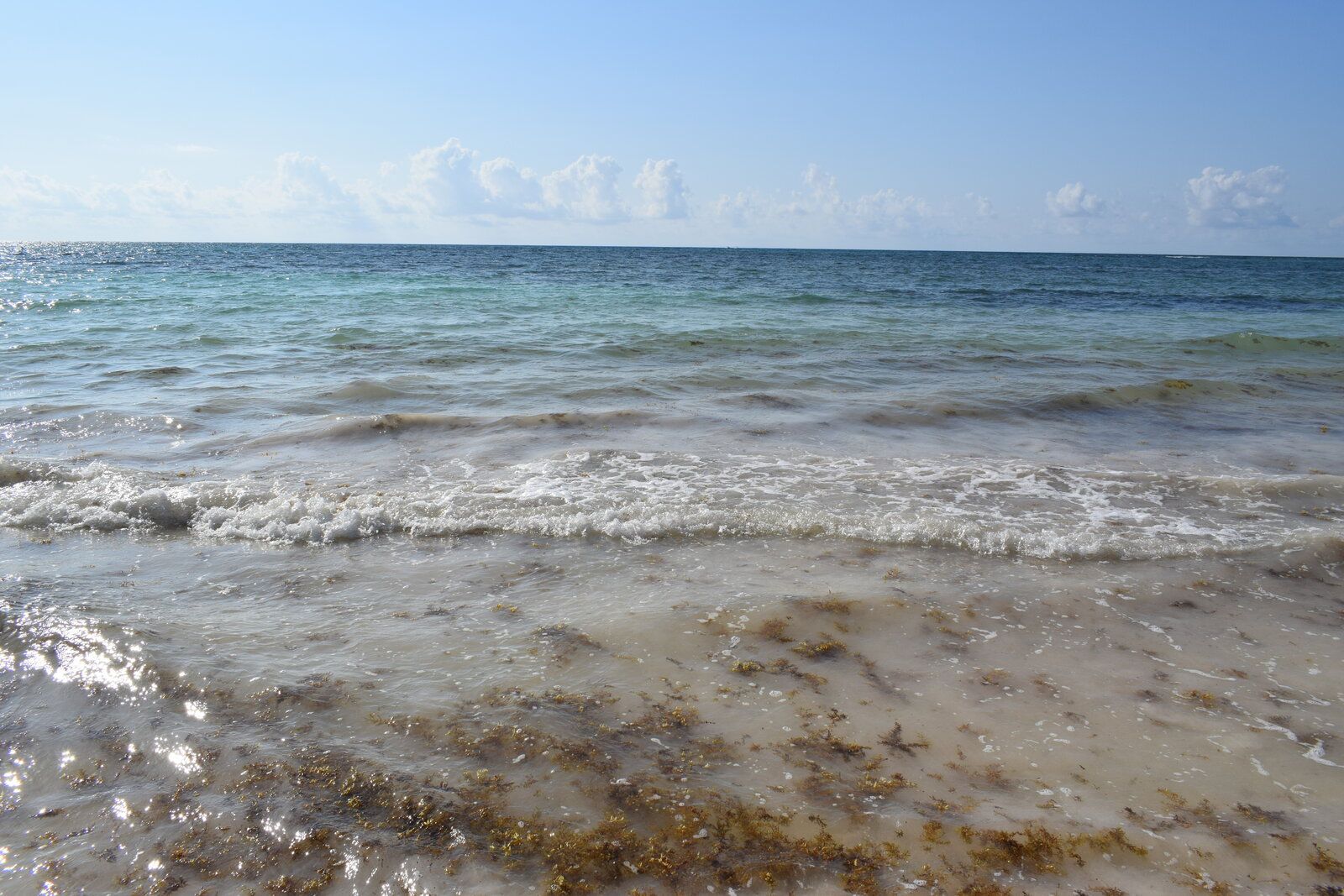 DSC_0088.JPG