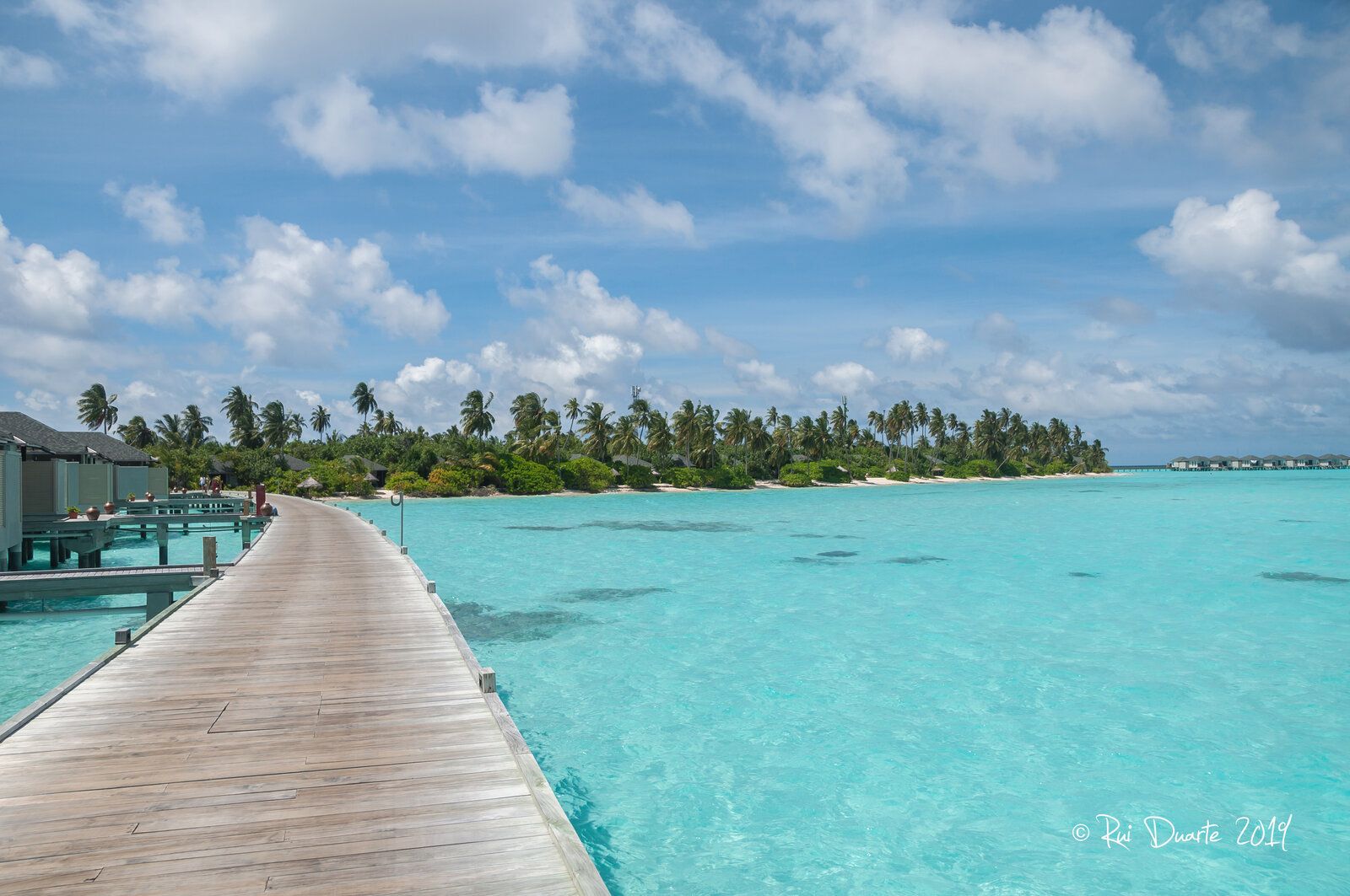 DSC_0091.jpg