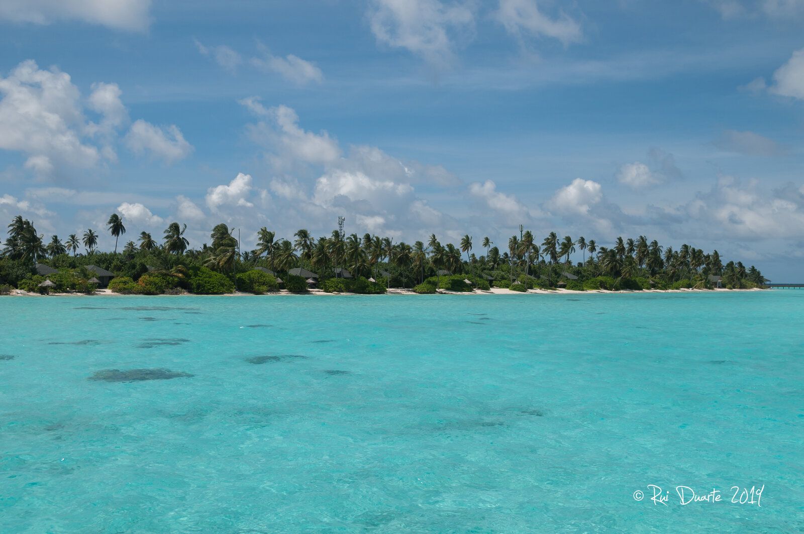 DSC_0097.jpg