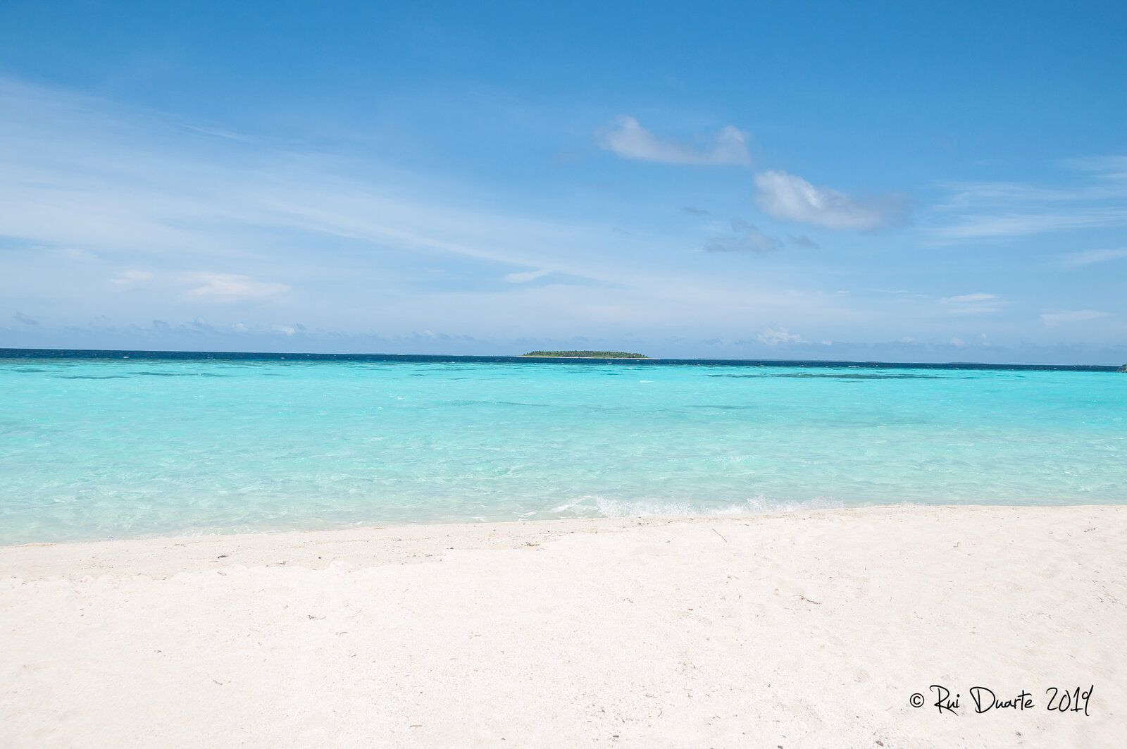 DSC_0166.jpg