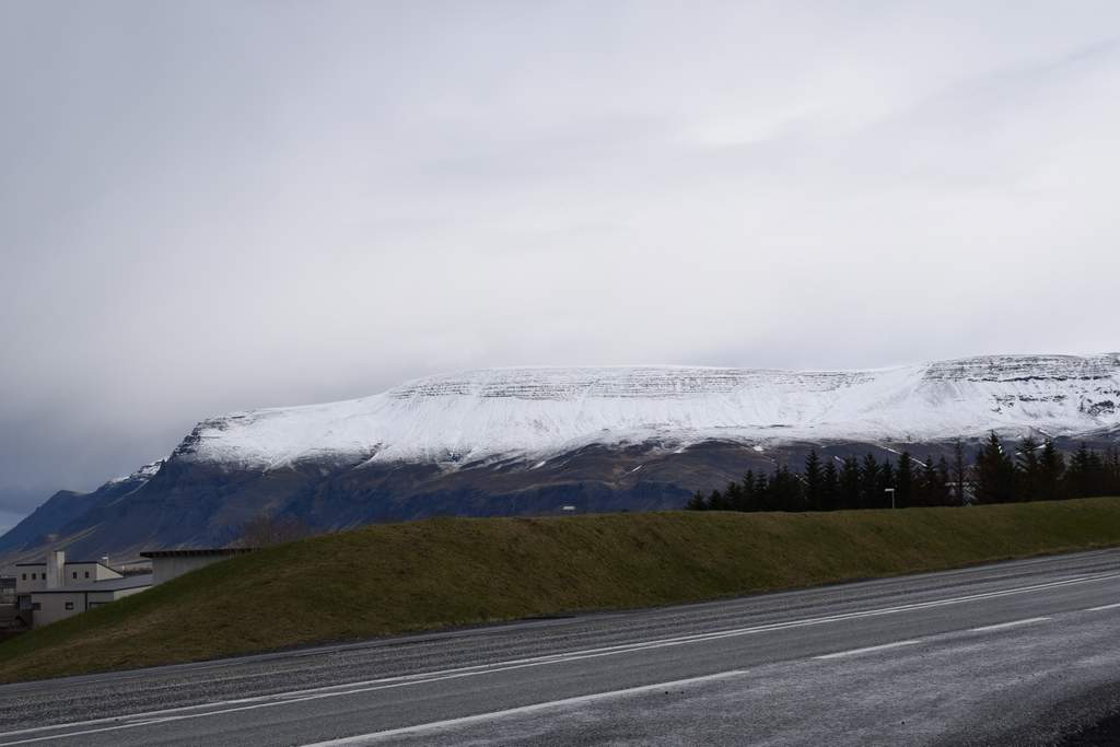 DSC_0381.JPG