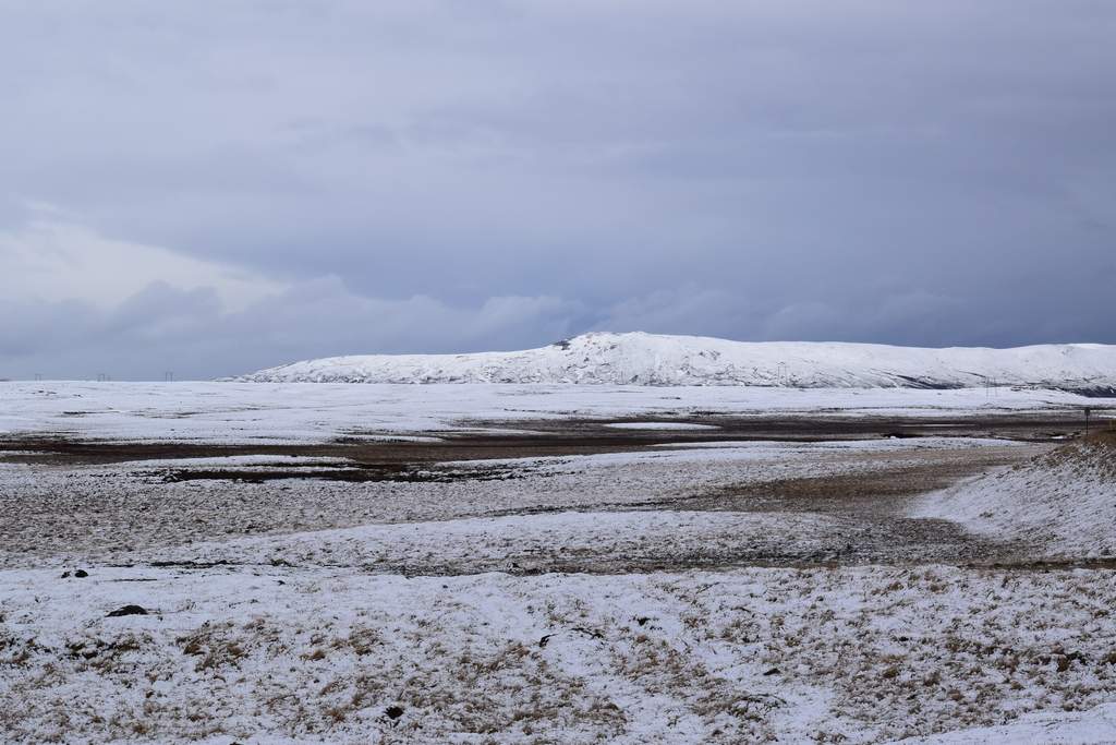 DSC_0453.JPG