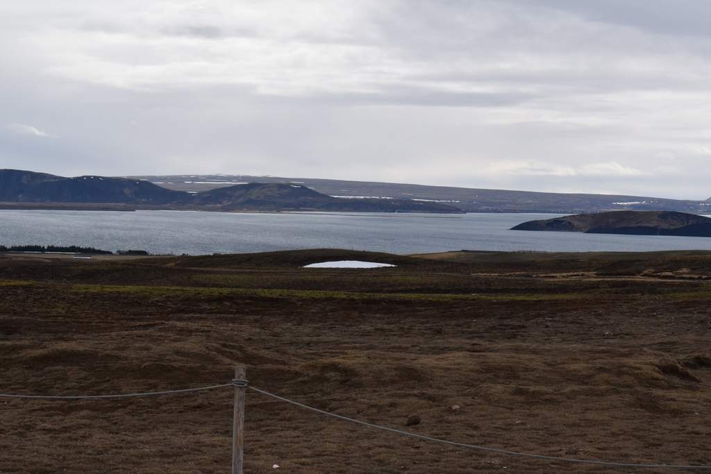 DSC_0465.JPG