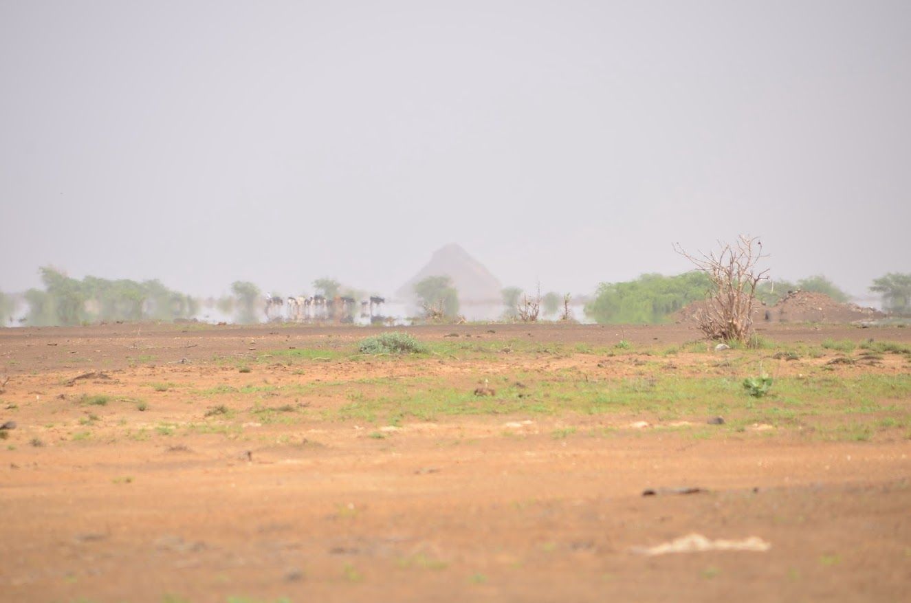 DSC_0480.JPG