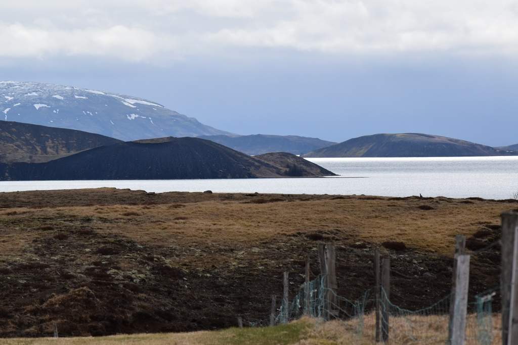 DSC_0510.JPG