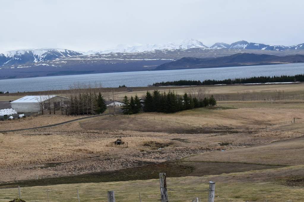 DSC_0512.JPG