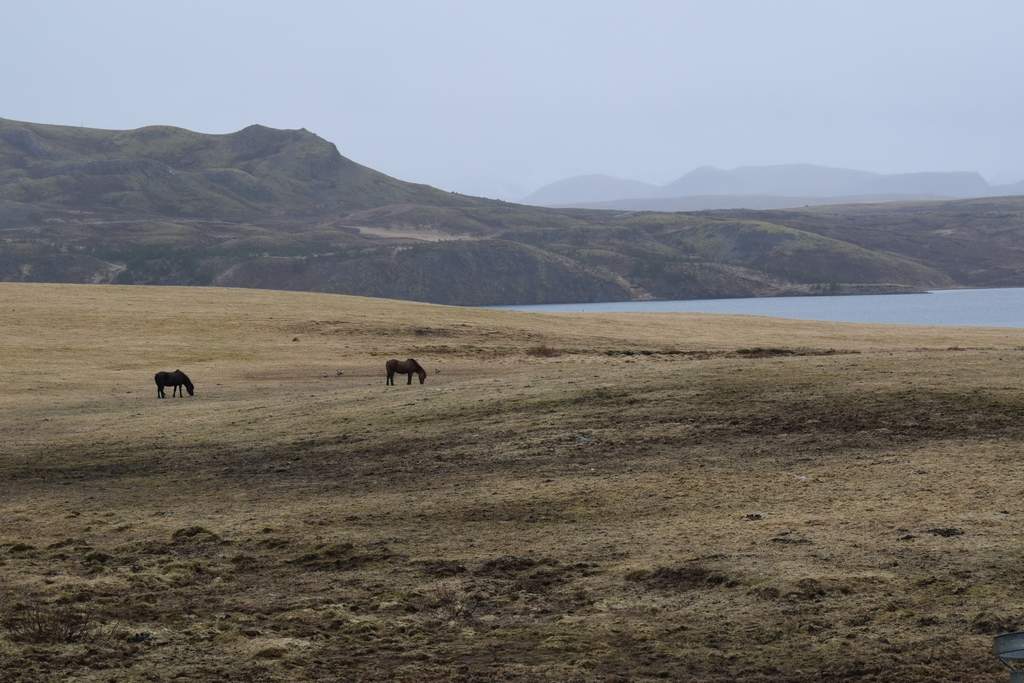 DSC_0590.JPG