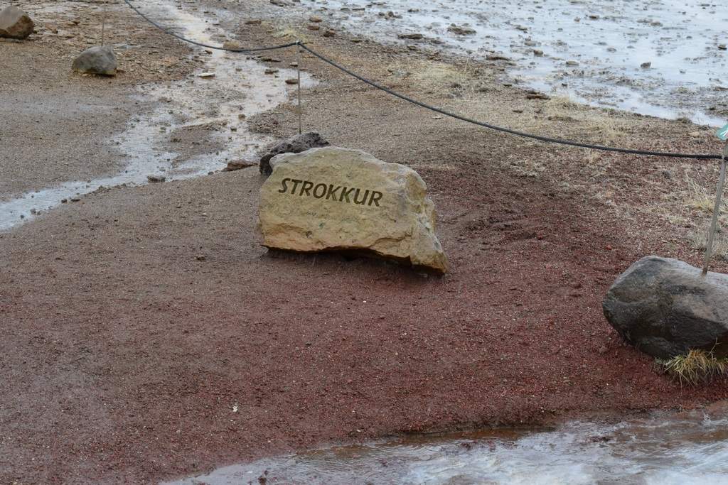 DSC_0638.JPG