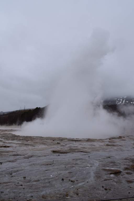 DSC_0714.JPG