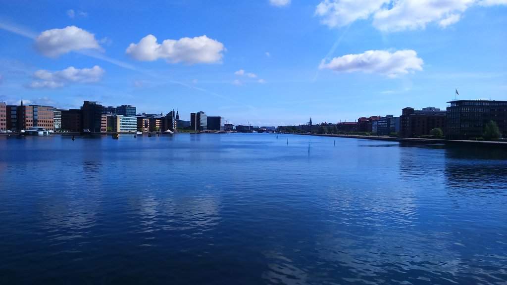 DSC_0716.JPG