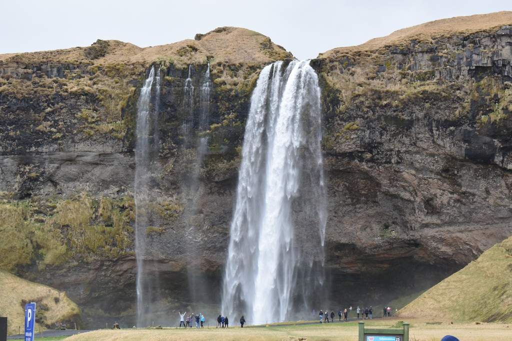 DSC_0742.JPG